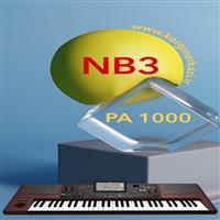 ست پارتی NB3 برای PA 10000-NB3 _ PA1000