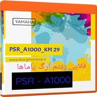 ریتم فلاپی یاماها A1000-PSR_A1000_KM 29